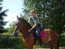 Вятско-андалузская лошадь )))